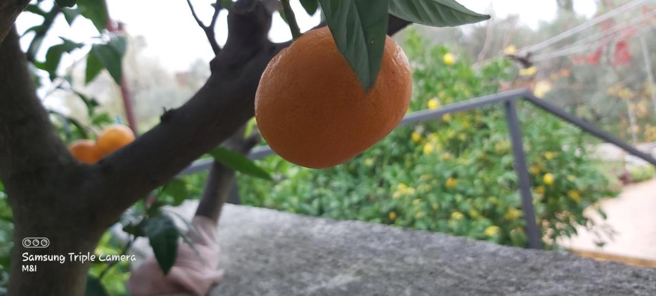 Vecchia Oliva,Kuljica Villa Kukljica Kültér fotó