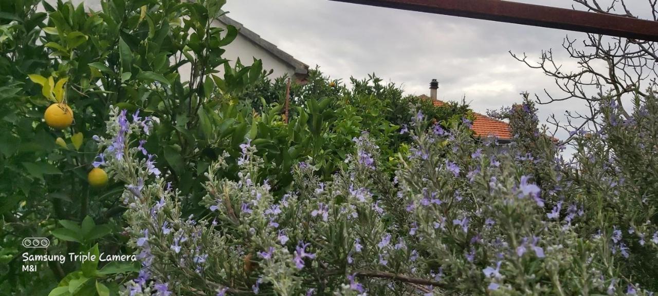 Vecchia Oliva,Kuljica Villa Kukljica Kültér fotó
